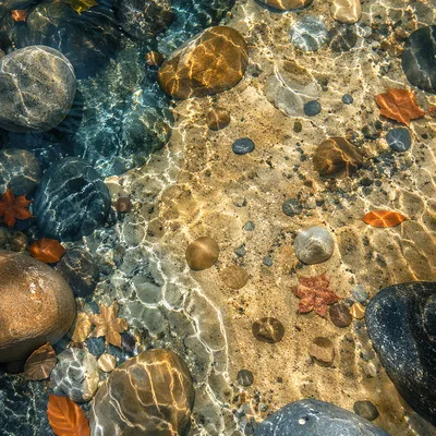 Clear Mountain Stream Over River Stones