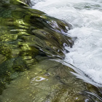 Clear Mountain Stream with Forest Reflections