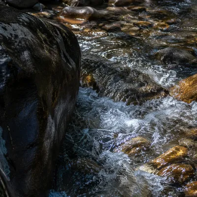 Clear Mountain Stream Flowing Over River Stones