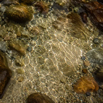 Clear Mountain Stream Over Pebbled Riverbed