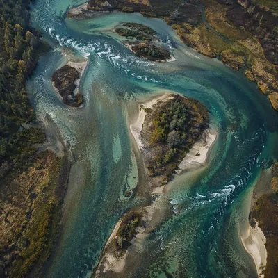 Clear Braided River Through Untouched Wilderness