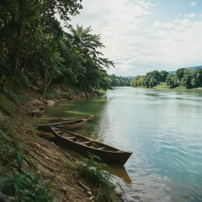 Clear River Flowing Through Lush Forest