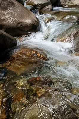 Clear Mountain Stream Over Weathered Boulders