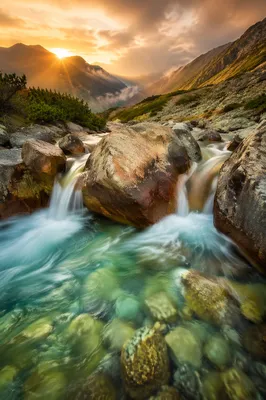 Clear Alpine Stream at Golden Sunrise