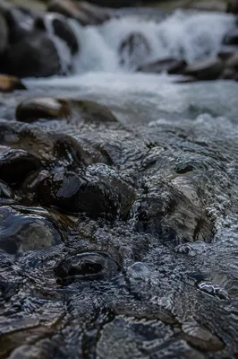 Clear Mountain Stream Over Smooth Stones