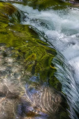 Clear Mountain Stream with Emerald Reflections