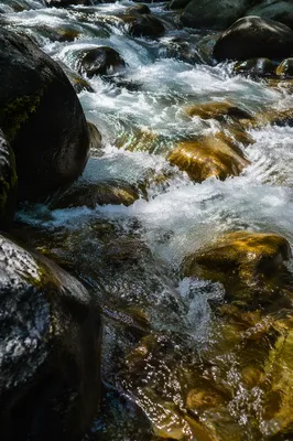 Clear Mountain Stream Over River Stones