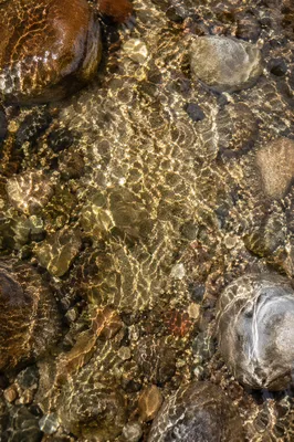 Clear Mountain Stream Over Sand and Stones