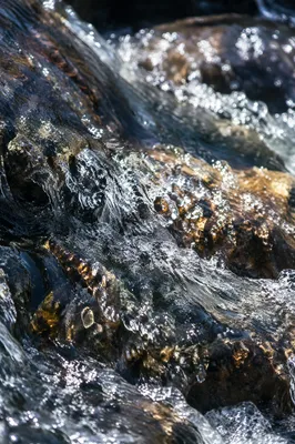 Clear Mountain Stream Over Wet Stones