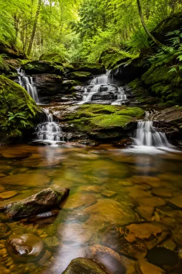 Clear Woodland Stream Over Mossy Sandstone