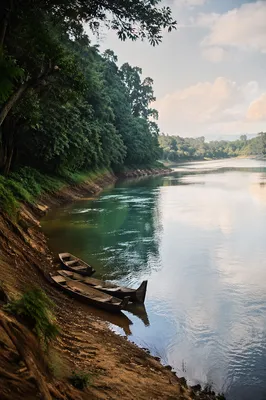 Clear River Flowing Through Lush Forest