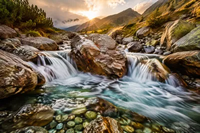 Clear Alpine Stream at Golden Sunrise