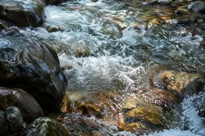 Clear Mountain Stream Over Smooth River Stones