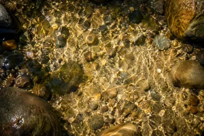 Clear Mountain Stream Over River Stones