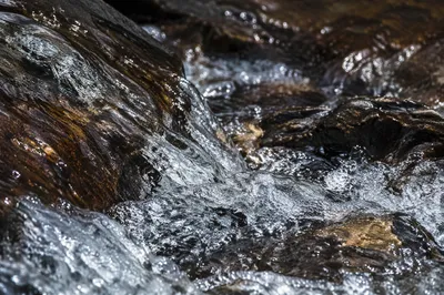 Clear Mountain Stream Over Dark Stones