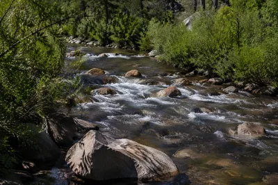 Clear Woodland River With Gentle Rapids