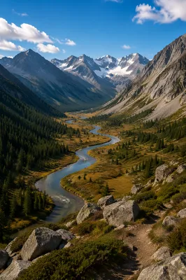 Winding River Through Alpine Green Valley