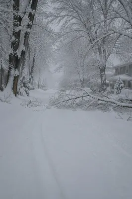Snow Buried Suburban Road After Blizzard