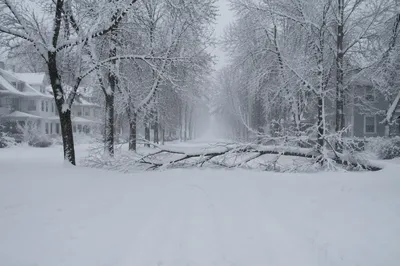 Snow Buried Suburban Road After Blizzard