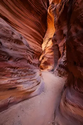 Sunlit Layered Canyon Walls at Sunrise