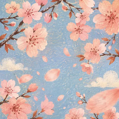 Falling Cherry Blossom Petals in Spring Breeze