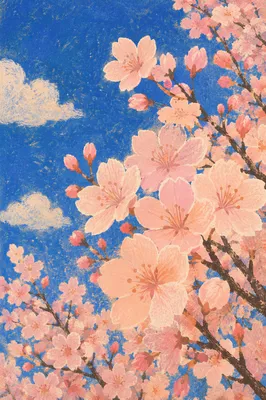 Pink Cherry Blossoms Under Deep Blue Sky