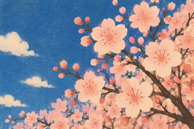 Cherry Blossoms Glowing Under Spring Sky