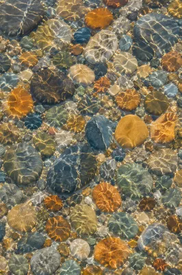 Crystal Clear Lake Pebbles Under Water