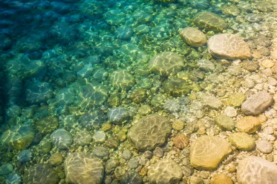 Crystal Clear Lake Pebbles Through Water