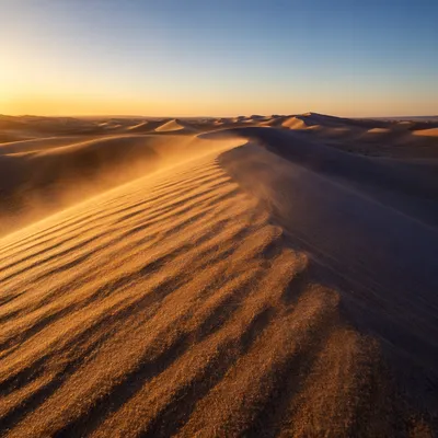 Golden Sunset Over Desert Sand Dunes