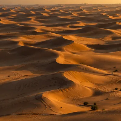 Golden Sunset Over Desert Sand Dunes