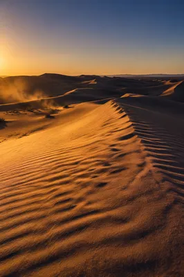 Golden Sunset Over Desert Sand Dunes