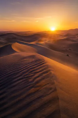 Golden Sunset Over Desert Sand Dunes