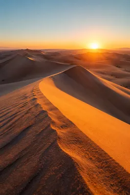 Golden Sunset Over Desert Sand Dunes