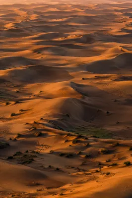 Golden Sunset Over Desert Sand Dunes
