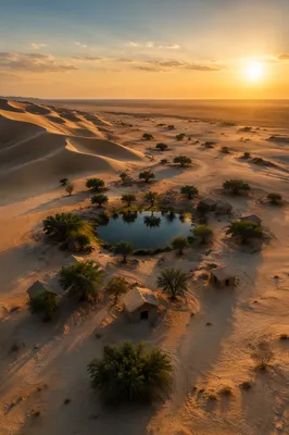 Golden Sunset Over Desert Oasis Dunes