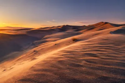 Golden Sunset Over Desert Sand Dunes