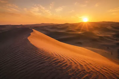 Golden Sunset Over Desert Sand Dunes
