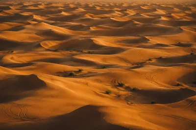 Golden Sunset Over Desert Sand Dunes