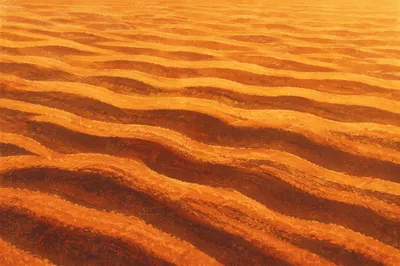 Golden Hour Desert Sand Ripple Patterns