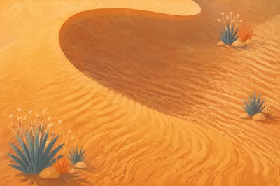 Golden Hour Desert Dune Ripple Patterns