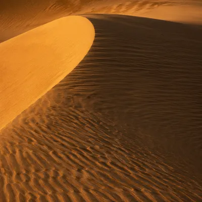 Golden Hour Desert Dune Ripple Patterns