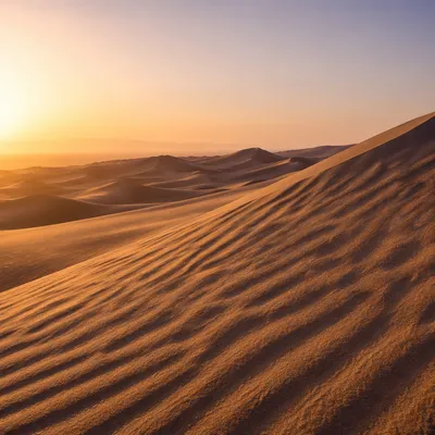 Golden Hour Desert Dune Ripple Landscape
