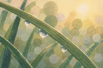 Morning Dew on Sparkling Grass Blades