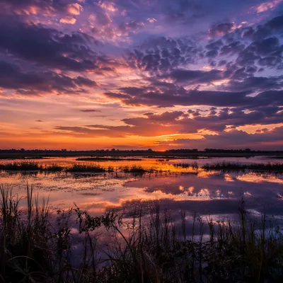 Dramatic Purple Orange Sunset Wetland Panorama