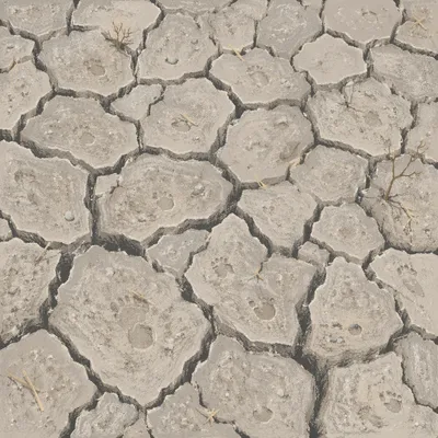 Drought Cracked Desert Earth Texture