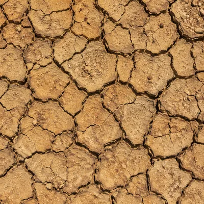 Dried Cracked Desert Earth Texture
