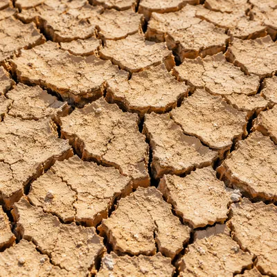 Drought Cracked Desert Clay Texture