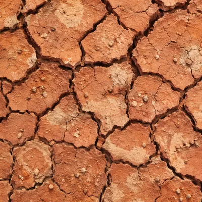 Cracked Desert Clay Texture in Harsh Sunlight