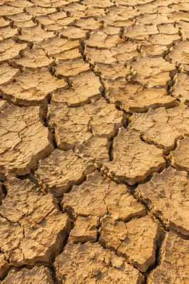 Dried Cracked Desert Earth Texture